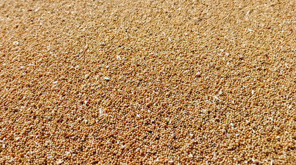 Brown sand texture background