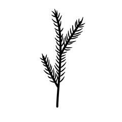 Christmas Tree Branch Black Silhouette Vector 