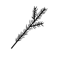 Christmas Tree Branch Black Silhouette Vector 