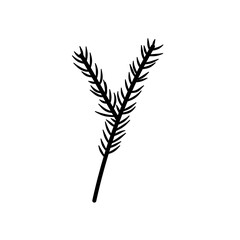 Christmas Tree Branch Black Silhouette Vector 