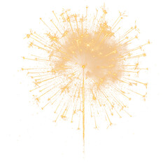 festive fireworks on an isolated transparent background. Fireworks png, salute, explosion png