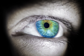 CloseUp of Blue and Green Human Eye with Detailed Iris and Pupil