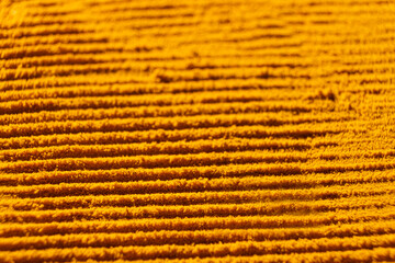 Abstract orange background of spilled turmeric powder, top view