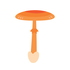 赤いキノコのイラスト　茶色