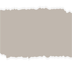 Torn Paper note vector 