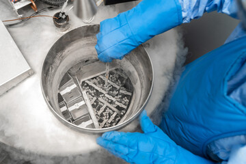 Embryologists a Liquid Nitrogen Bank Containing Sperm and Eggs Samples. ivf in vitro fertilization,...