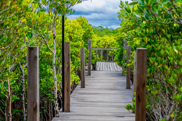 panoramic background of high mountain scenery, overlooking the atmosphere of the sea, trees and wind blowing in a cool blur, spontaneous beauty