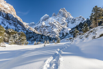 Obraz premium Majestic Snowy Mountain Peaks with Pristine Winter Forests and Blue Sky - Stunning Nature Landscape with Crisp Details