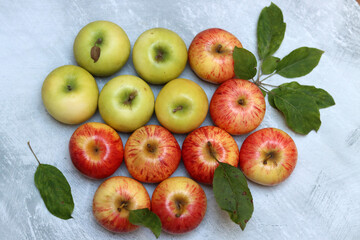 Beautiful green and red apples top view photo. Juicy organic fruit on light grey textured background with space for text. Healthy eating concept. 