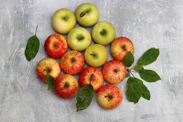 Beautiful green and red apples top view photo. Juicy organic fruit on light grey textured background with space for text. Healthy eating concept. 