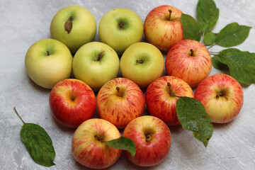 Beautiful green and red apples top view photo. Juicy organic fruit on light grey textured background with space for text. Healthy eating concept. 