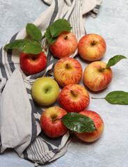 Beautiful green and red apples top view photo. Juicy organic fruit on light grey textured background with space for text. Healthy eating concept. 