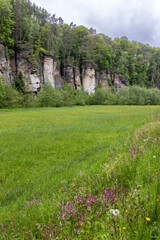 Nature reserve Udoli Plakanek near Kost castle, Eastern Bohemia, Czech Republic