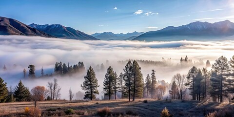 Fototapeta premium Landscape with fog covering the trees and mountains , fog, mist, serene, peaceful, nature, outdoor, tranquil, hazy
