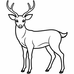 deer vector design 