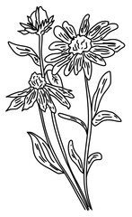 Elements illustration stamp decoration plant flower