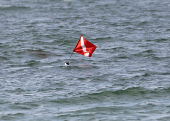 Diving Flag