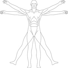 Human Body Anatomy line illustration, Hearing Loss, hand drawn in thin line style