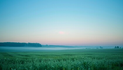Obraz premium A serene sunrise over a lush field under a pristine blue sky Soft hues of morning light paint