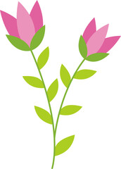 Flowers Illustration