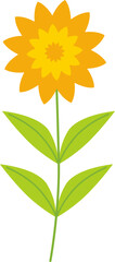 Flowers Illustration