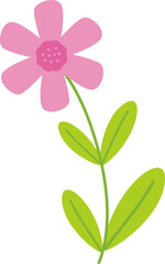 Flowers Illustration
