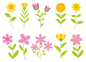 Flowers Illustration