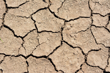 cracked soil in the desert with a cracked surface top view