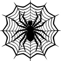 Fototapeta premium spider, web, halloween, insect, vector, illustration