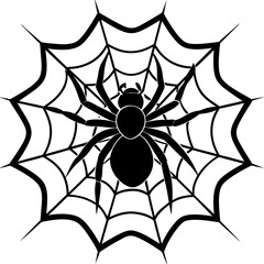 spider, web, halloween, insect, vector, illustration