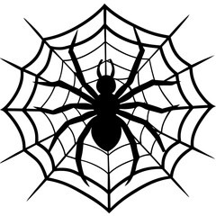 Fototapeta premium spider, web, halloween, insect, vector, illustration