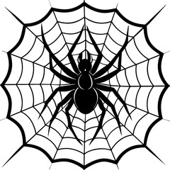Fototapeta premium spider, web, halloween, insect, vector, illustration