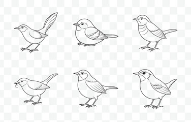 Print Comprehensive Wren Line Art Vector Set Featuring Detailed Bird Illustrations for Artistic and Graphic Design Projects