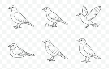 Print Blackbird Line Art Vector Set Intricate Illustrations of Blackbirds in Various Poses and Styles