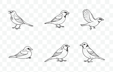 Print Elegant Sparrow Line Art Vector Set for Creative Designs and Projects