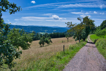 Auf dem Hahn und Henne Wanderweg bei Nordrach im Schwarzwald