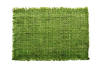 Green Fabric Swatch