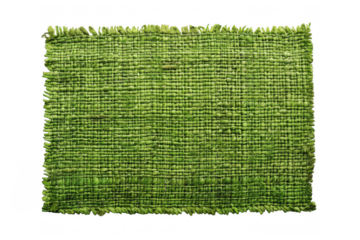 Green Fabric Swatch