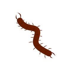 Centipede Vector Illustration