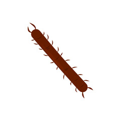 Centipede Vector Illustration