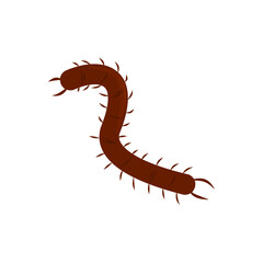 Centipede Vector Illustration