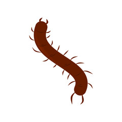 Centipede Vector Illustration