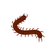 Centipede Vector Illustration