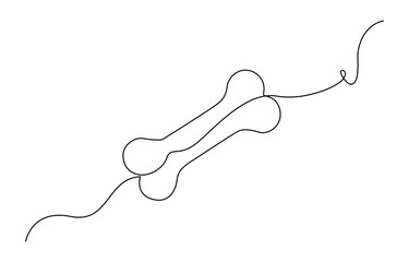 Continuous line drawing of human bone. Line art of dog bone. One line drawing background. Vector illustration. Continuous one line drawing of bone. simple human bone line art vector illustration