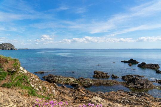 Rochers orn&eacute;s de fleurs printani&egrave;res roses, avec la mer d'Iroise scintillant sous un ciel bleu et parsem&eacute; de nuages blancs, sur la presqu'&icirc;le de Crozon en Bretagne.