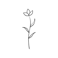 Hand drawn simple flower illustration