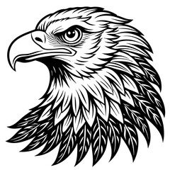 eagle vector design 