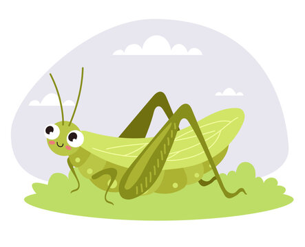 recommend clip art: Grasshopper bug insect isolated concept. Vector doodle line style design element