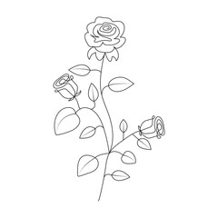 One continuous line drawing of a rose. Single-line one art drawing of a rose.