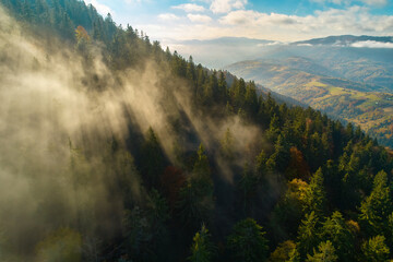 Flight over fog in Ukrainian Carpathians in summer. A thick layer of fog covers the mountains with a continuous carpet. Aerial drone view.